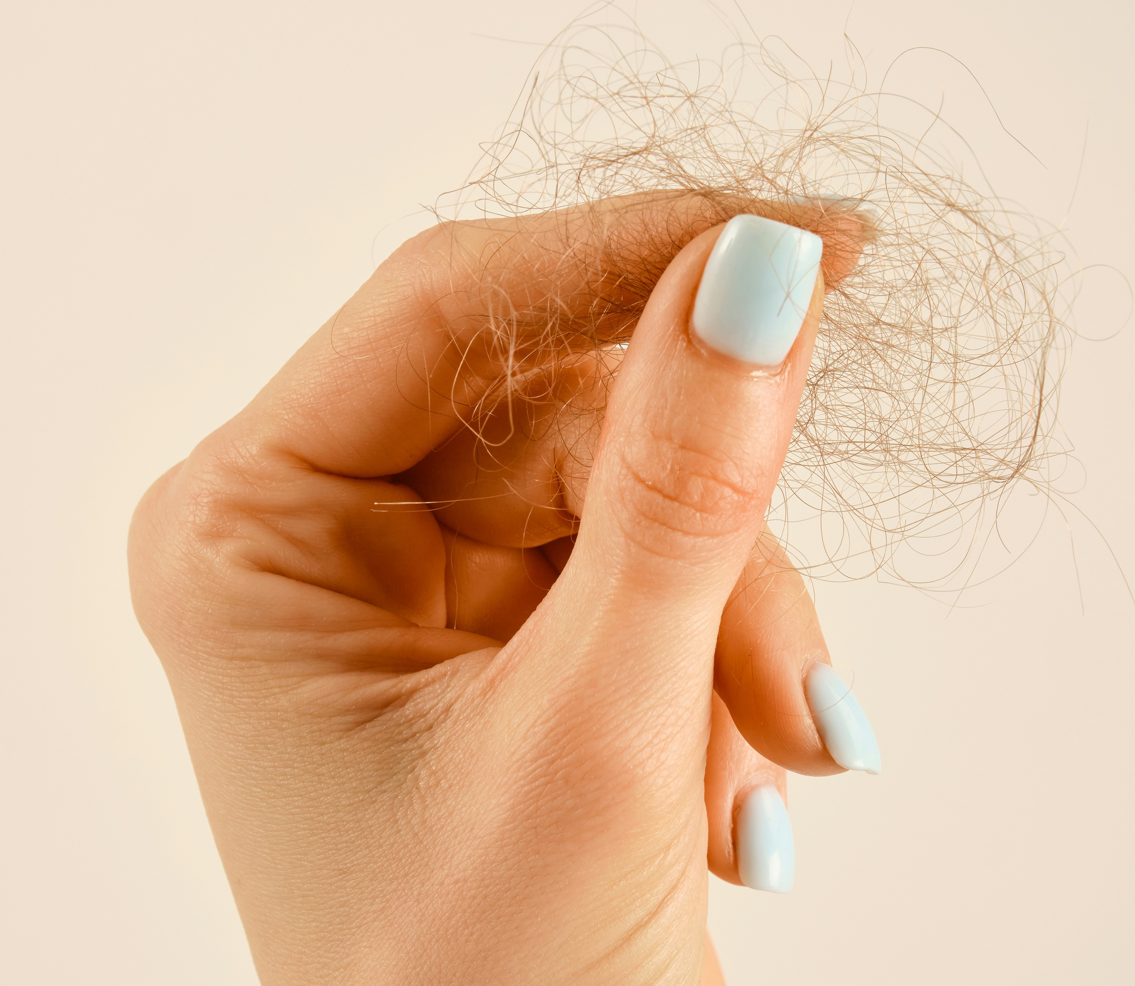 A close-up of a hand with light blue nail polish holding a clump of brown hair.