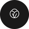 Simple white cabbage icon on a black circular background.