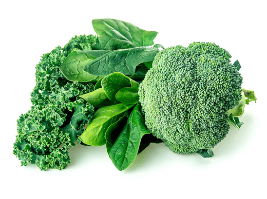 Fresh broccoli, spinach, and kale on a white background.