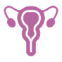 A purple icon representing the female reproductive system, including the uterus, ovaries, and fallopian tubes.