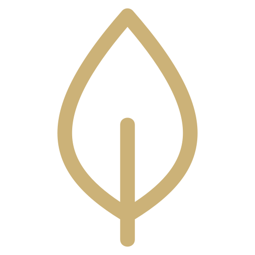 Simple gold line drawing of a leaf on white background.