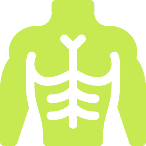 Illustration of a green human torso with ribcage outline.