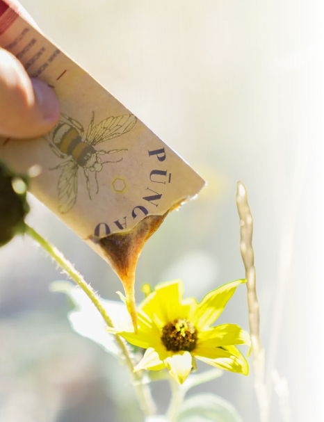 Hand pouring honey from packet onto a yellow flower.