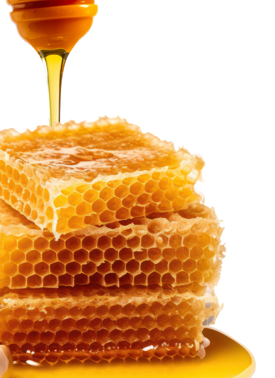 Stack of honeycomb pieces with honey dipper and honey.