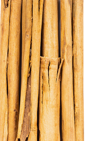 Close-up of several cinnamon sticks standing upright.