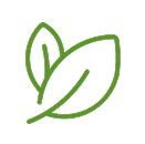 Green line drawing of two overlapping leaves.