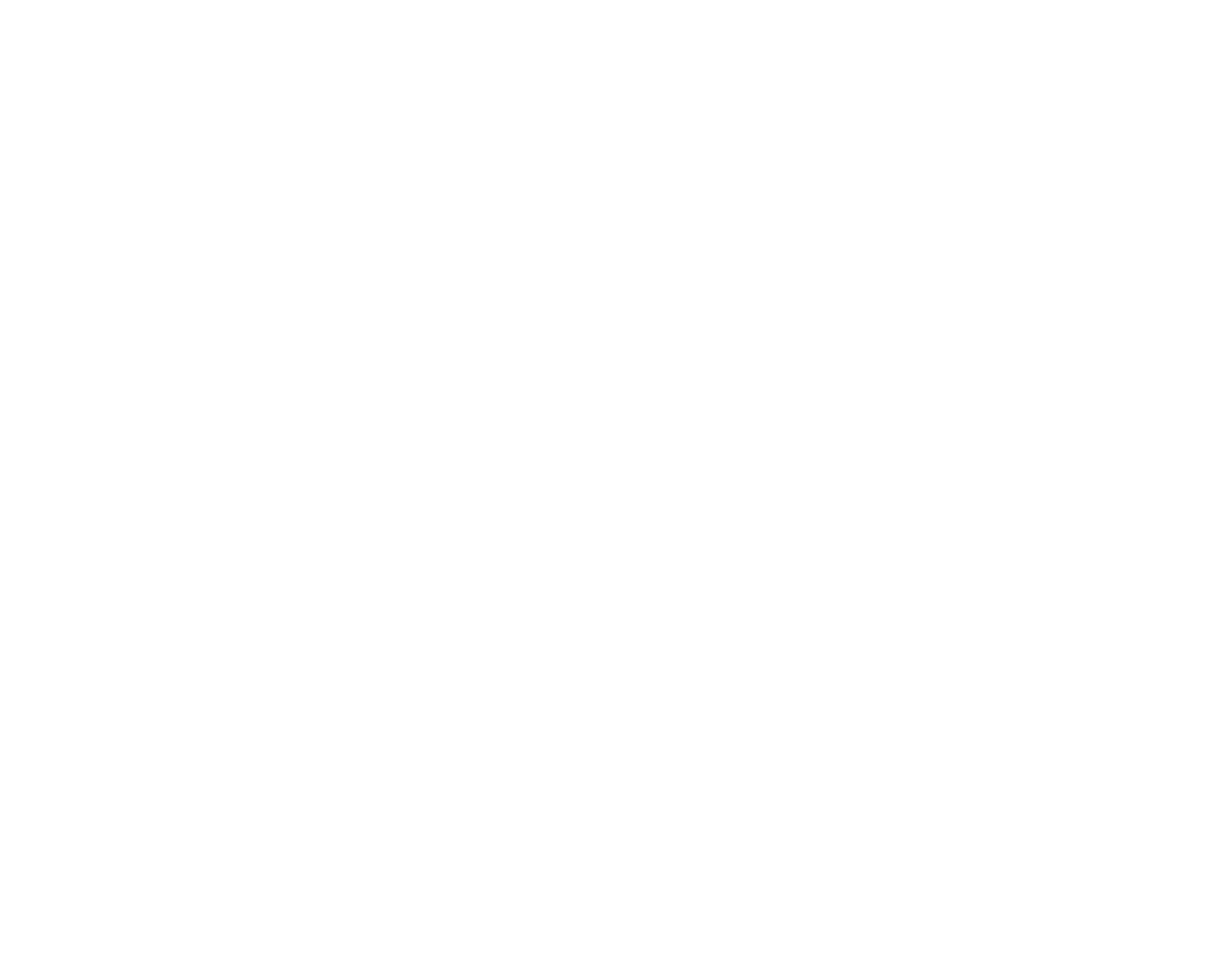 A solid white rectangle.