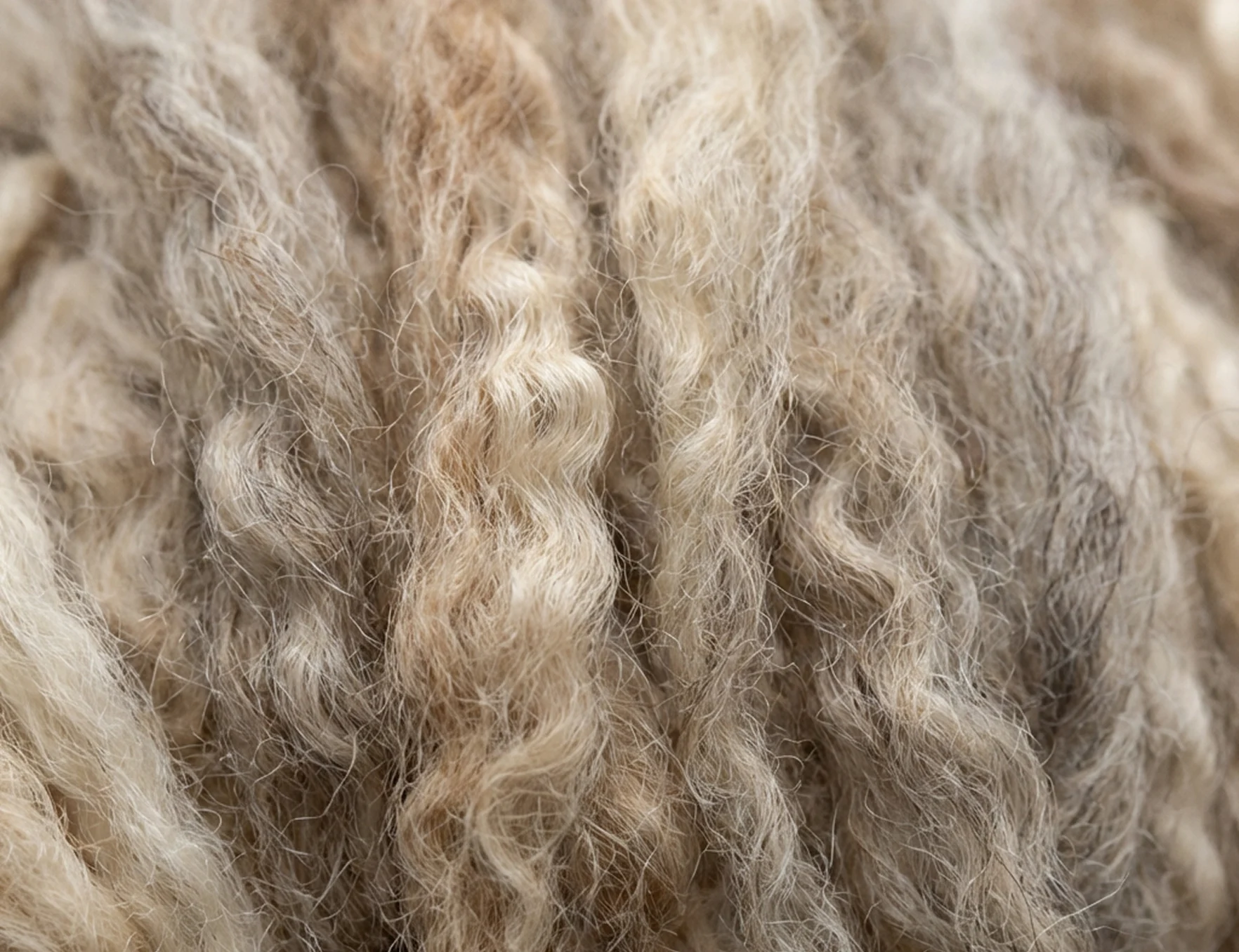 A close-up, detailed shot of wavy, thick wool fibers in natural shades of cream, tan, and gray.