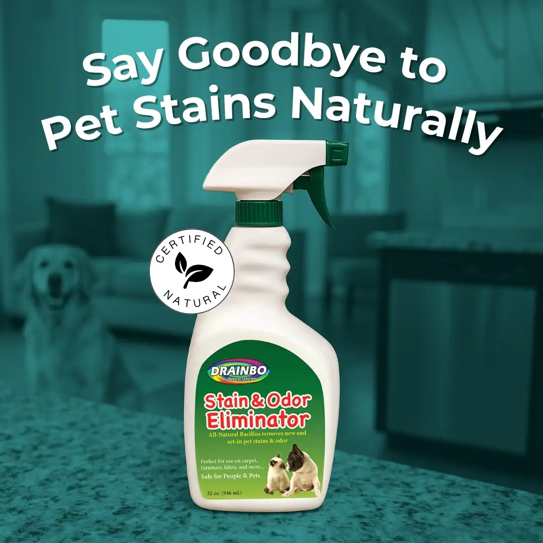 Spray bottle of Drainbo Stain & Odor Eliminator on a kitchen counter.
