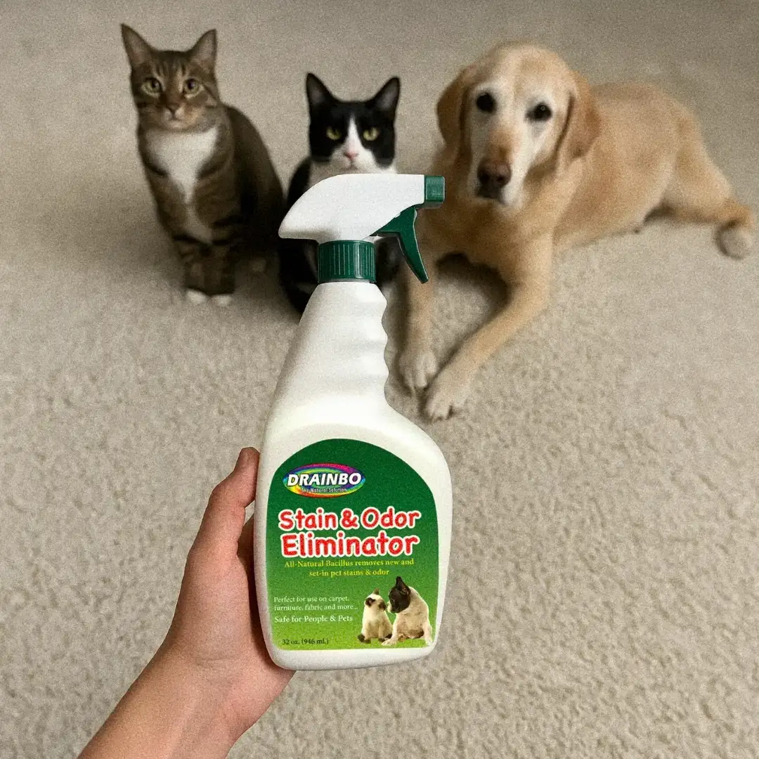 Hand holding a stain remover spray bottle with two cats and a dog in the background.
