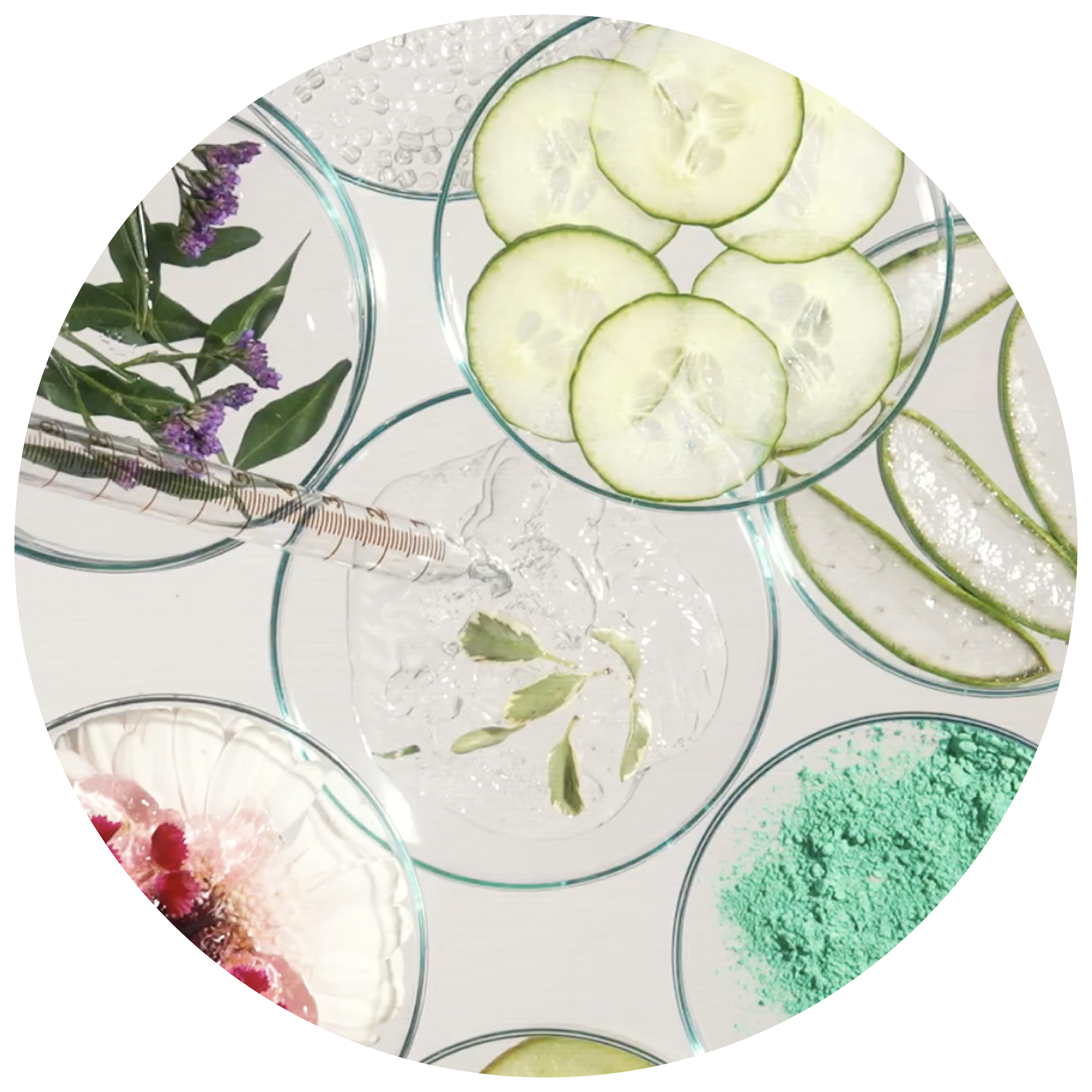 Various natural elements in dishes: cucumber, flowers, powder, and liquids.