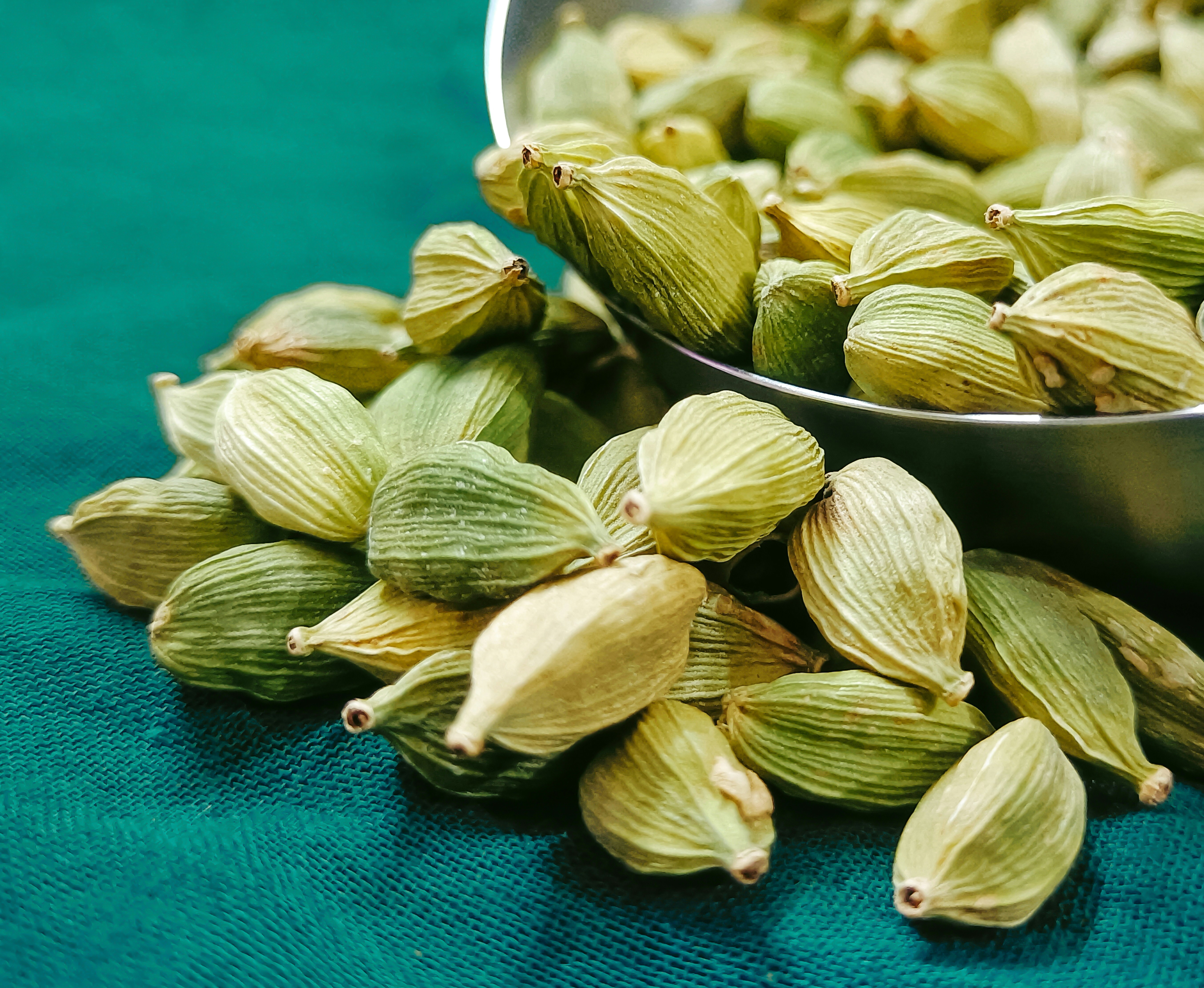 Close-up of green cardamom pods on a teal fabric background.