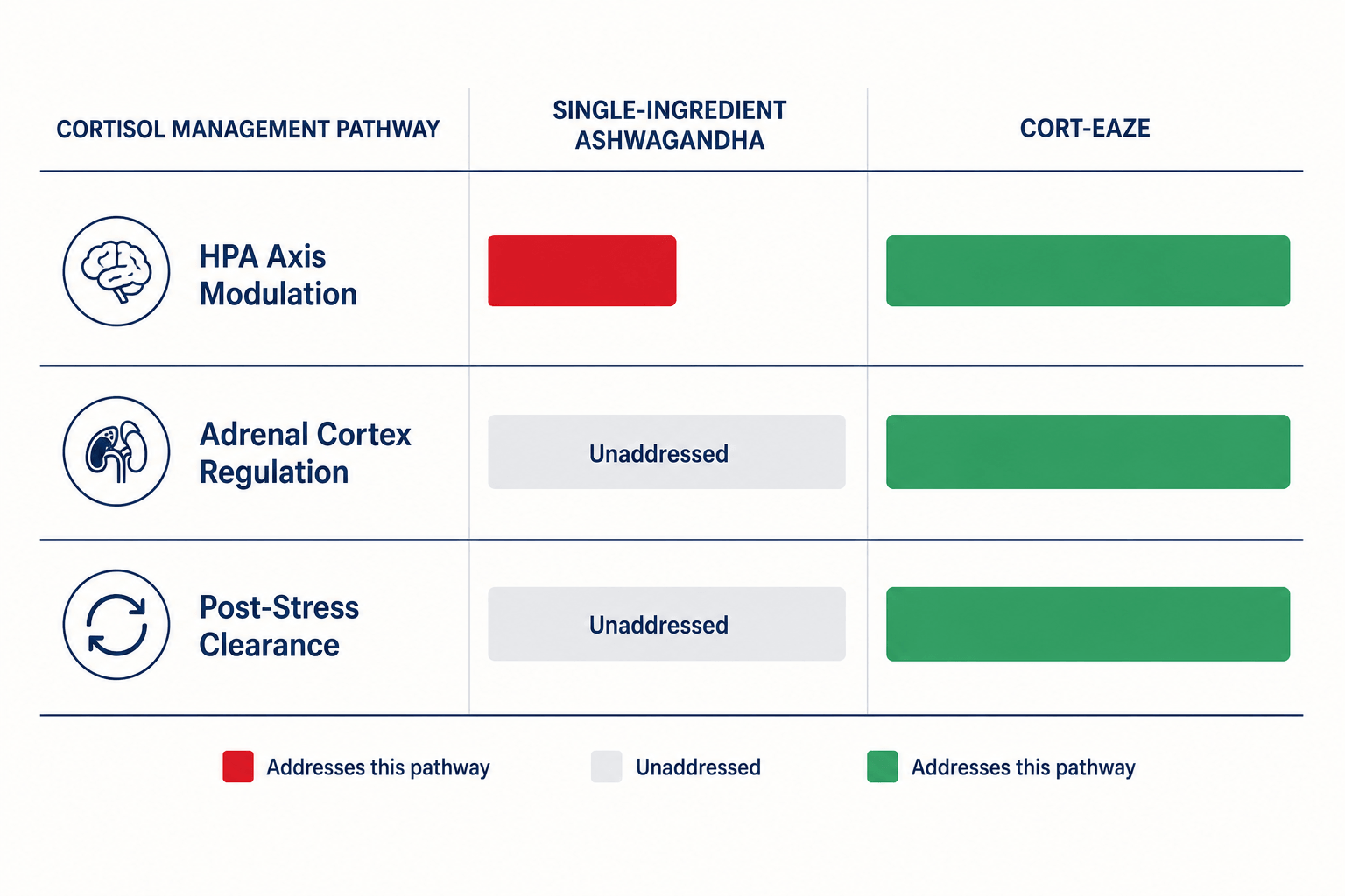 A chart comparing how Cort-Eaze and Ashwagandha address cortisol management pathways: HPA Axis, Adrenal Cortex, and Post-Stress Clearance.