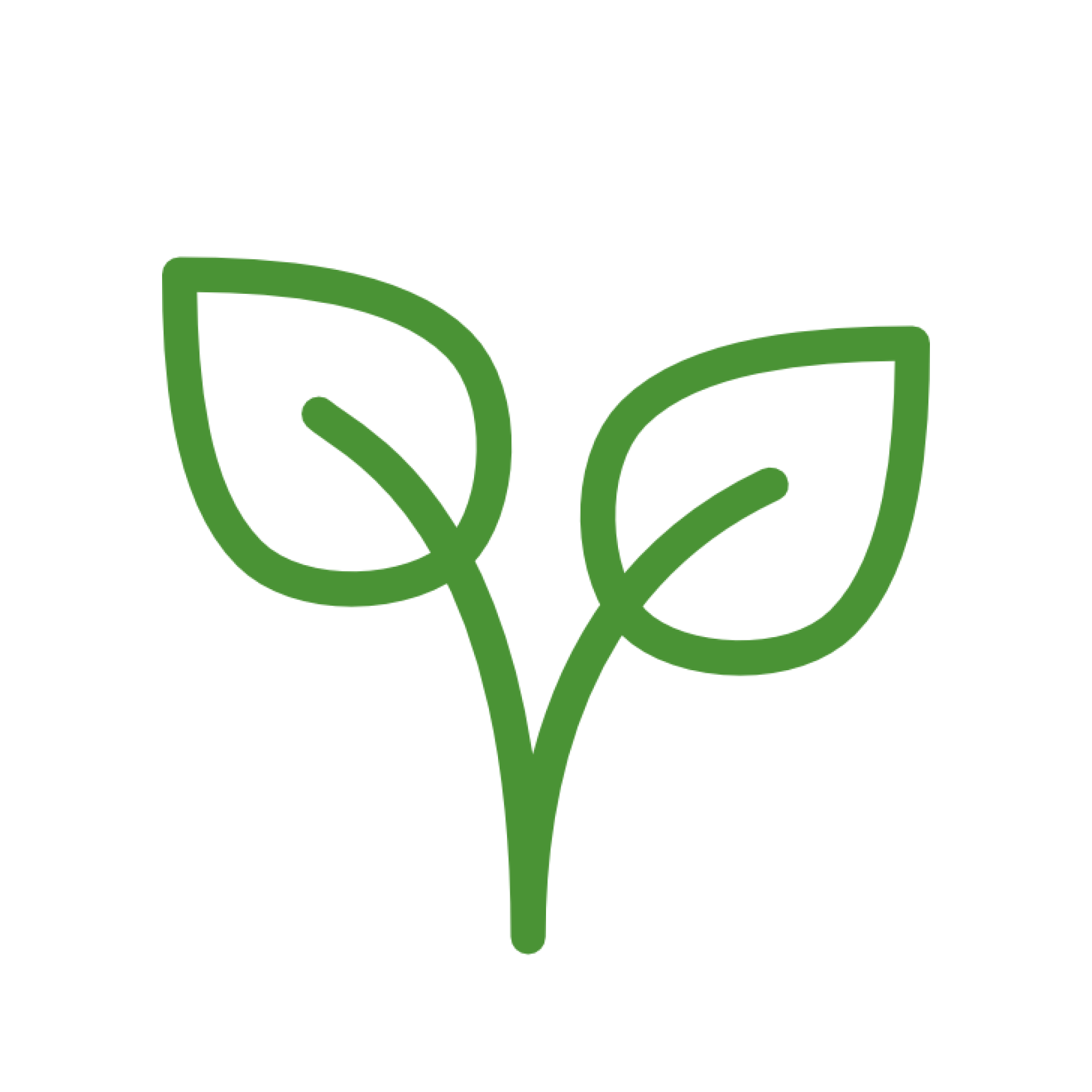 A simple green icon of a plant sprout with two leaves on a white background.