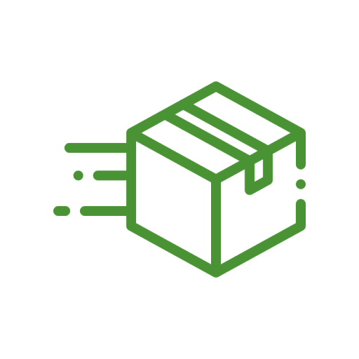 A green line art icon of a cardboard box with motion lines to indicate fast shipping.
