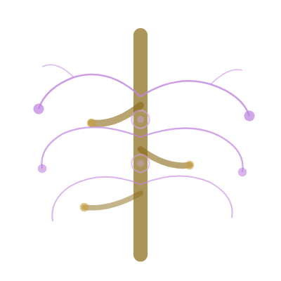 A stylized, abstract illustration of a tree with a brown trunk and purple and brown branches.