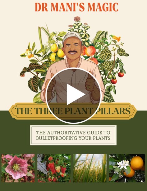 A promotional graphic for 'Dr Mani's Magic' showing an illustrated man surrounded by plants with a video play button.