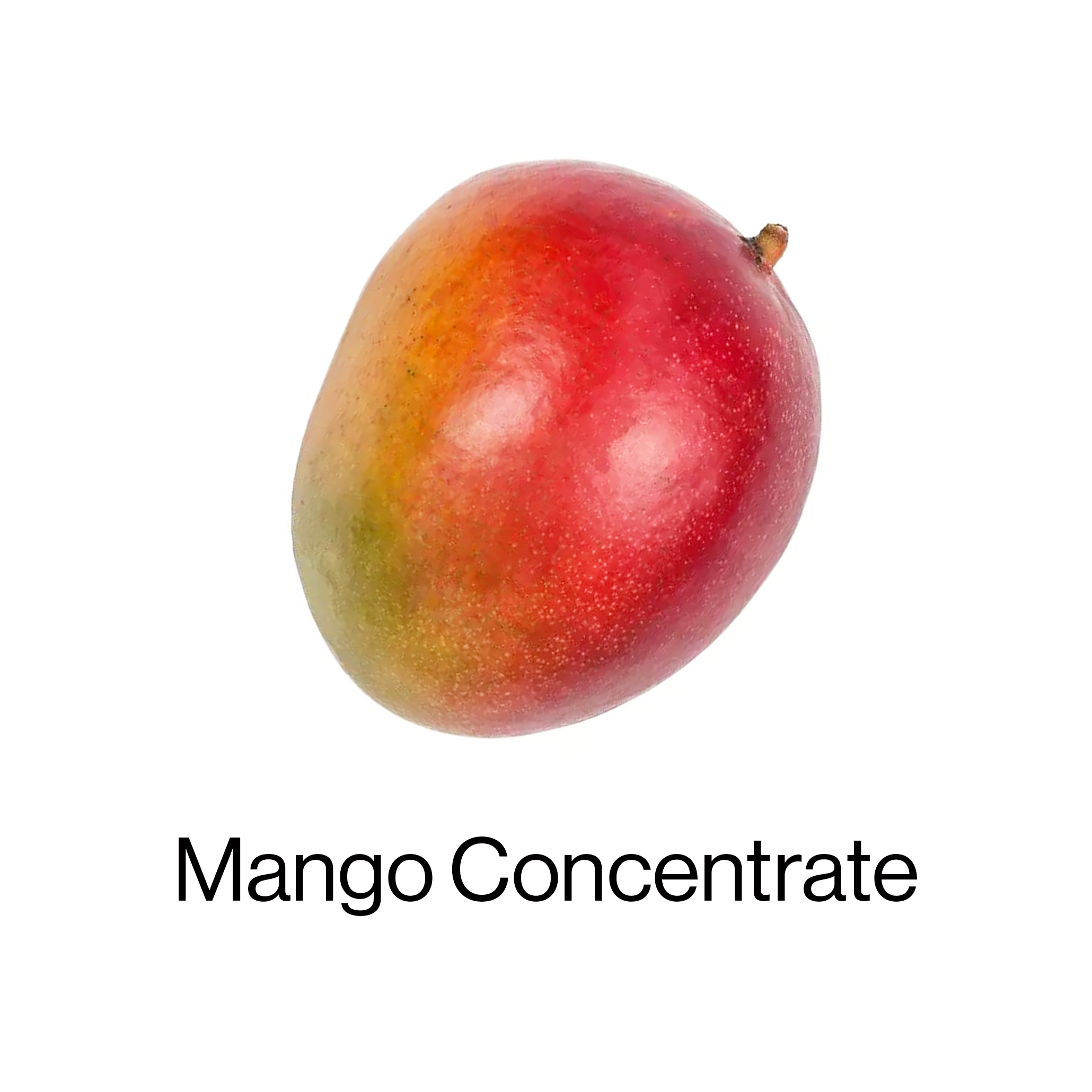 A single, ripe mango on a white background with the text 'Mango Concentrate' below it.