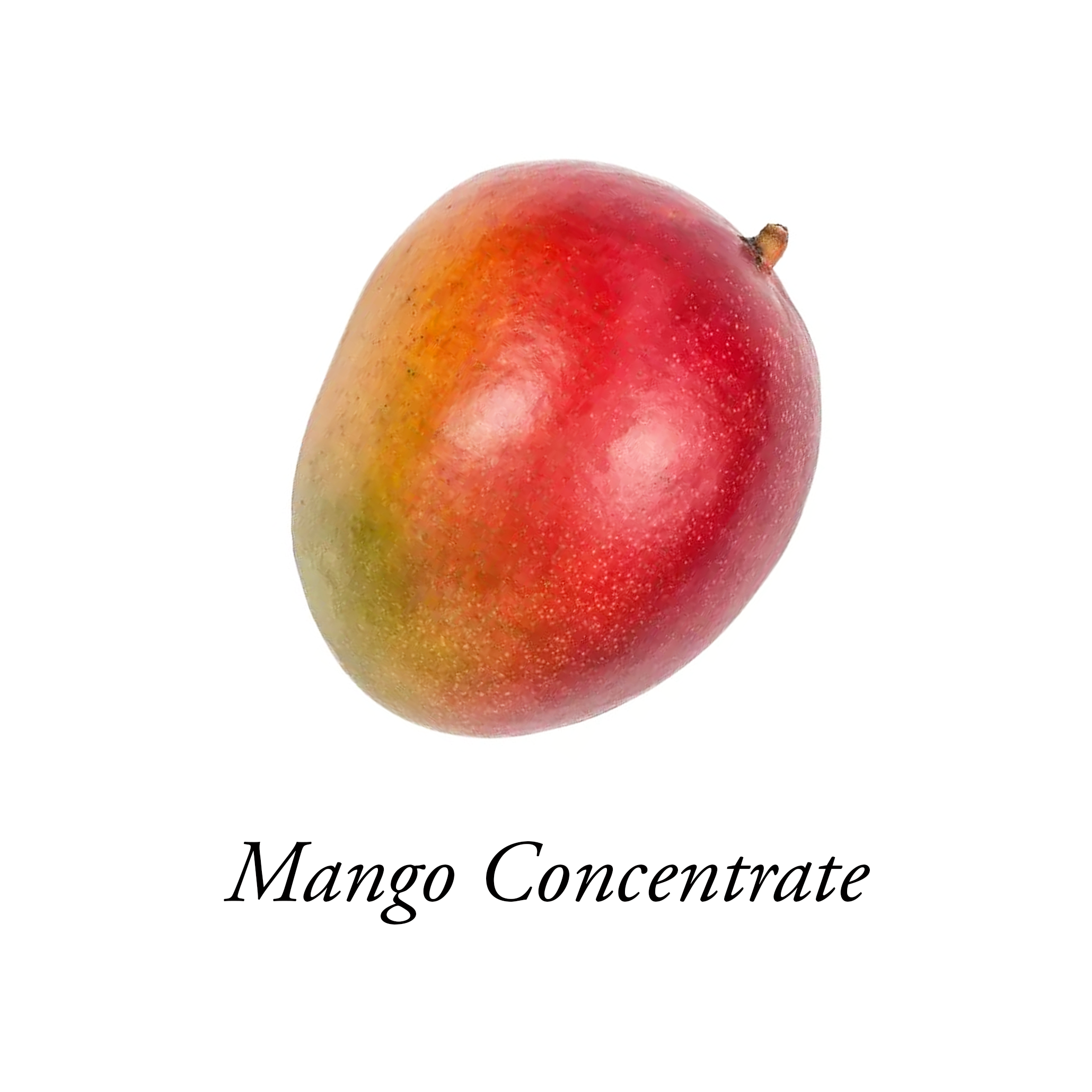 A single, ripe mango on a white background with the words 'Mango Concentrate' printed underneath.