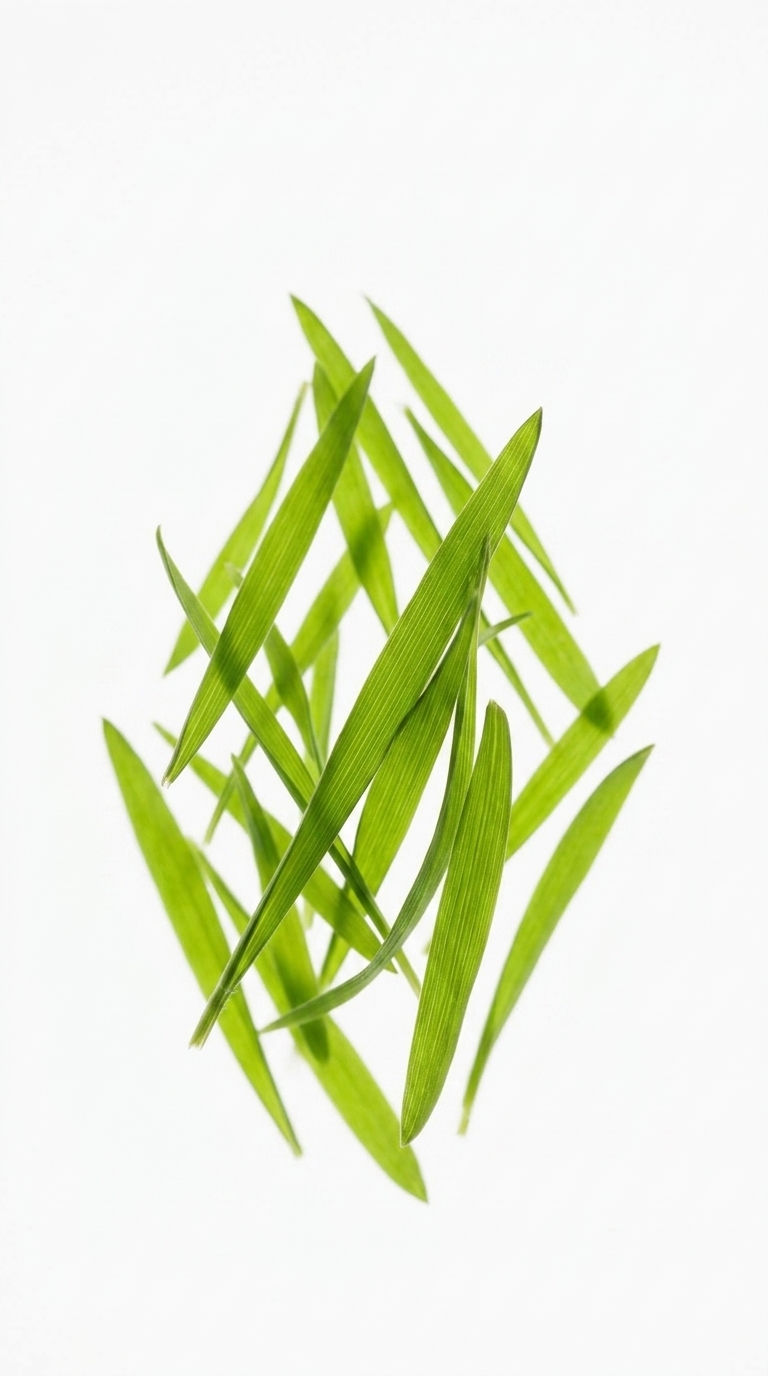 A collection of vibrant green grass blades arranged in a diamond shape against a white background.