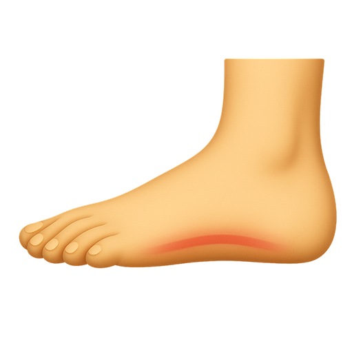 Illustration of a foot with a highlighted red arch area.