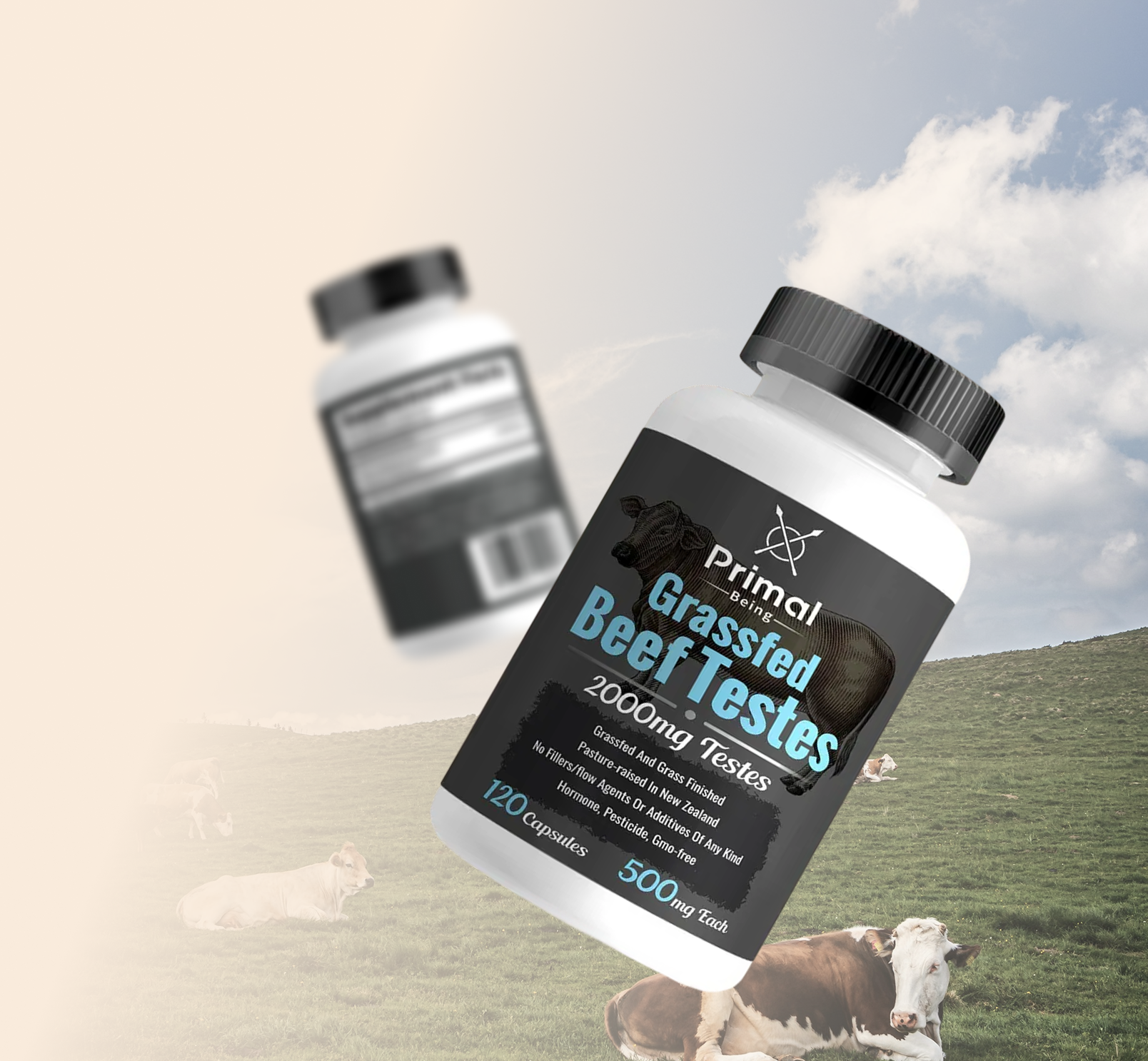 Two bottles of Primal Being Grassfed Beef Testes supplements floating over a green pasture with cows.