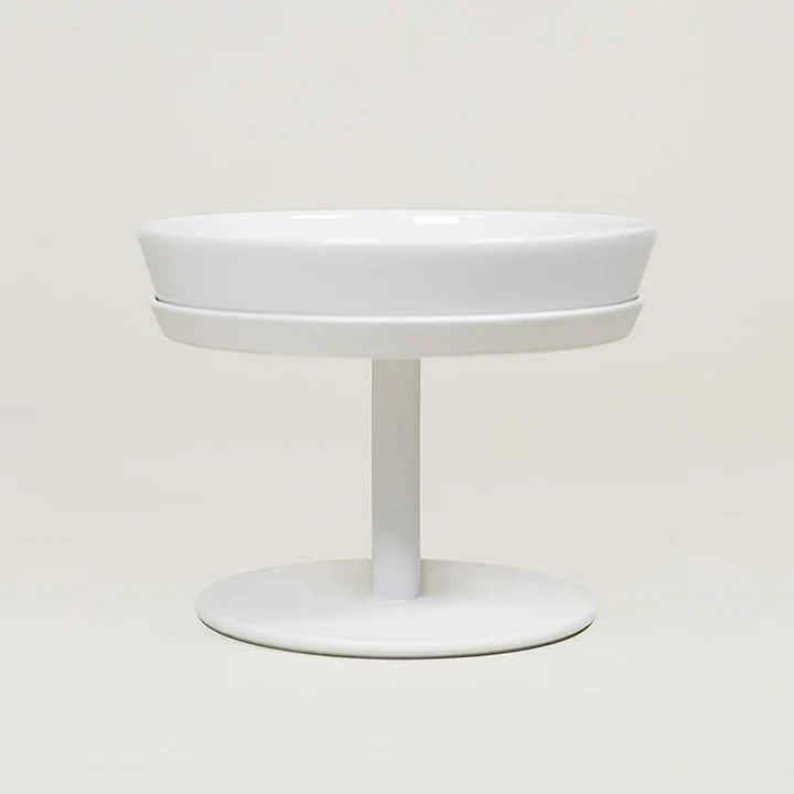 White, modern, pedestal-style dog bowl with a sleek design.