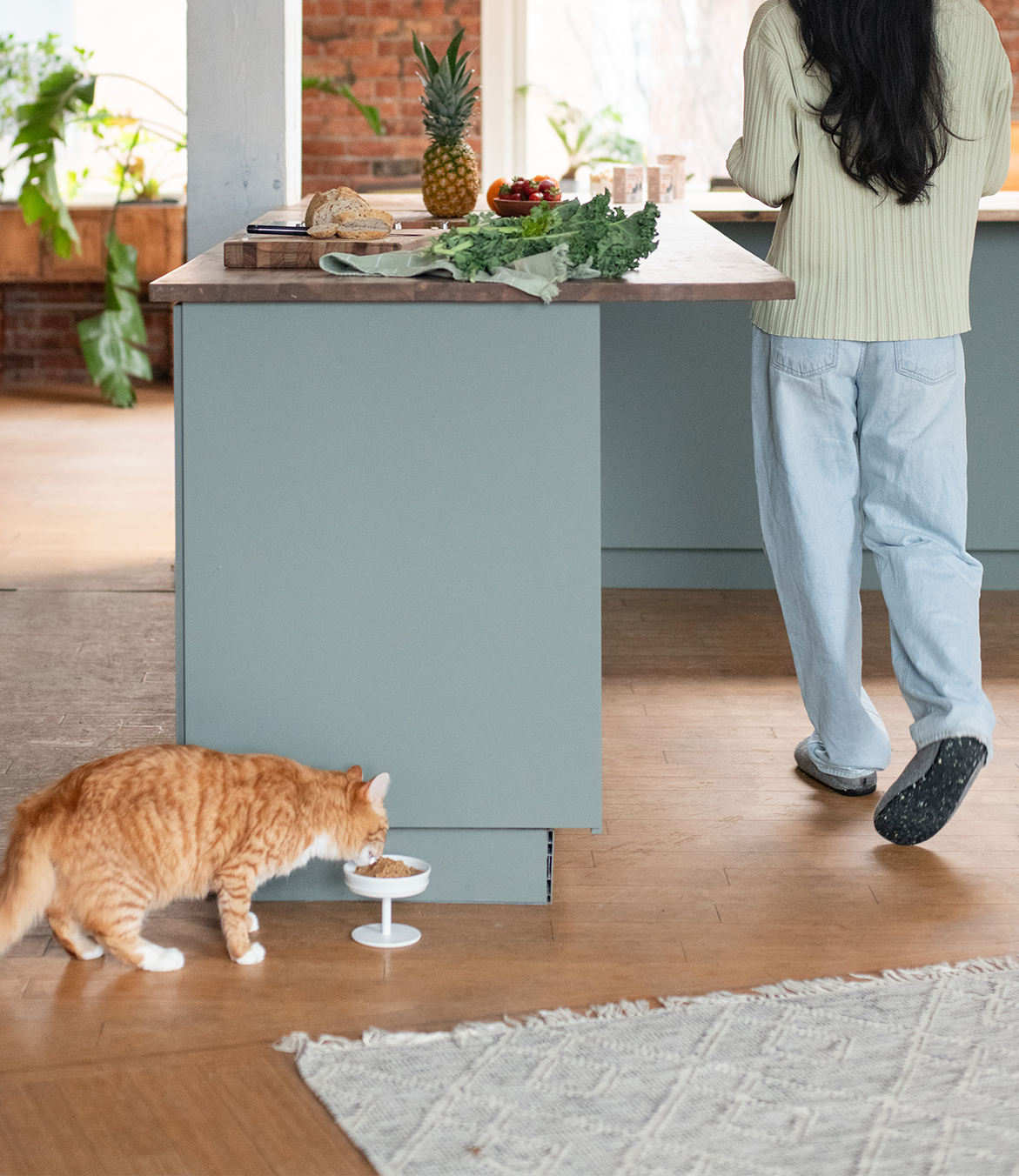 Person in kitchen, cat eating from a bowl near an island with fruits and bread.