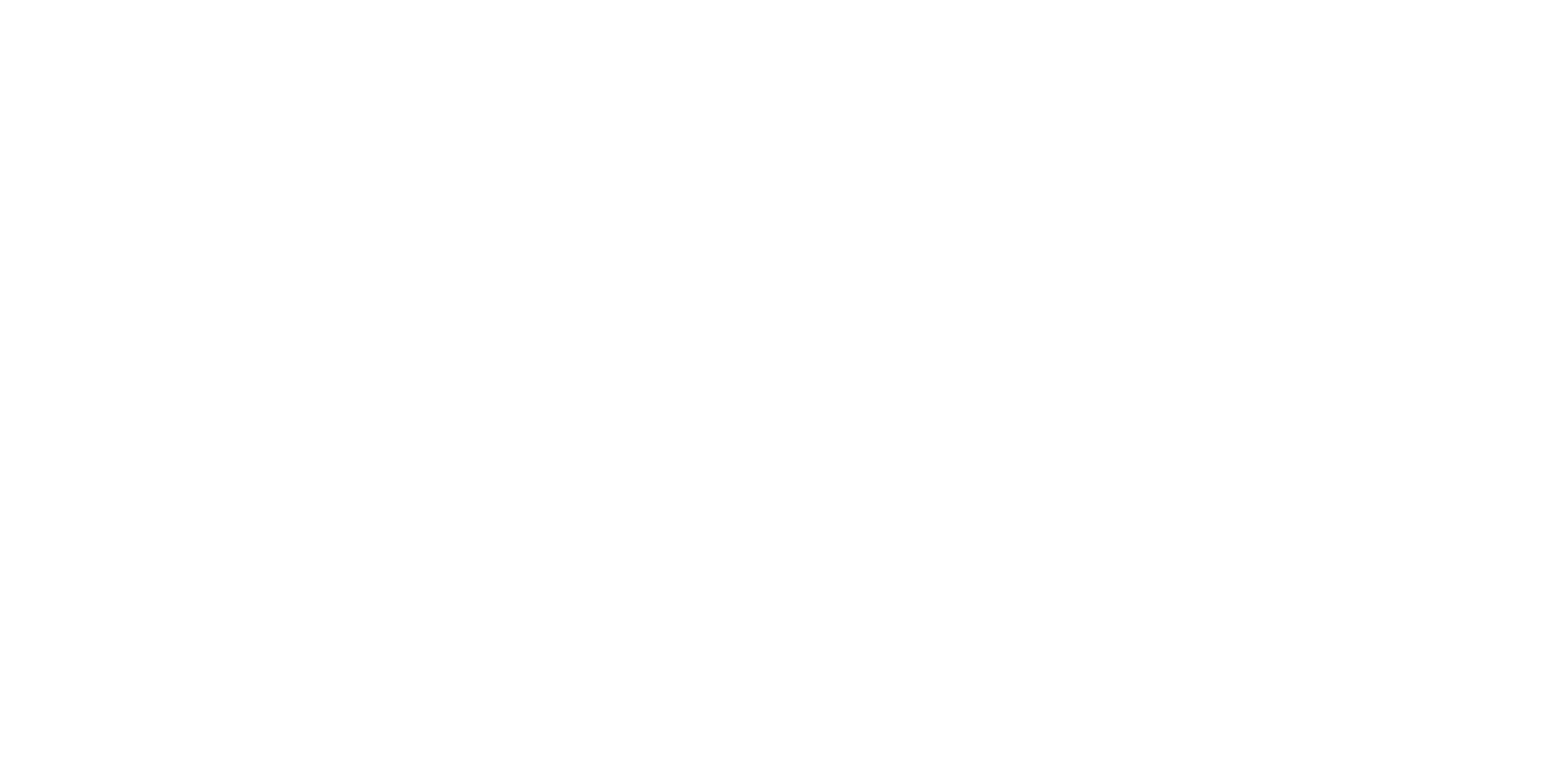 Logo with the words 'Octopus Diving' in bold, white font.