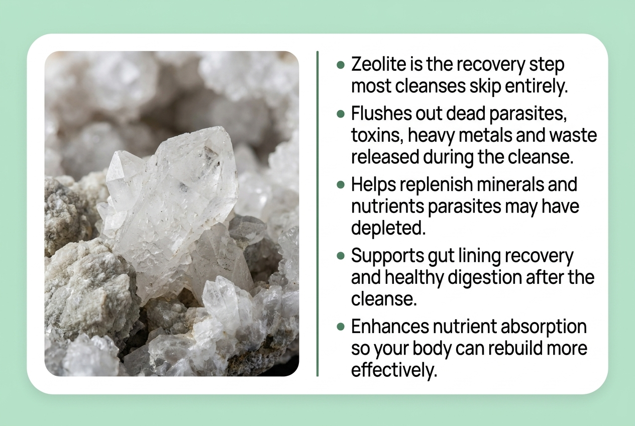 A graphic showing zeolite crystals next to a bulleted list of its health benefits for cleanses.