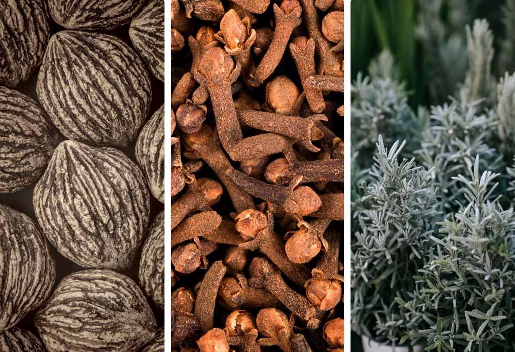 A three-panel image showing close-ups of textured nuts, cloves, and a silver-leafed herb.