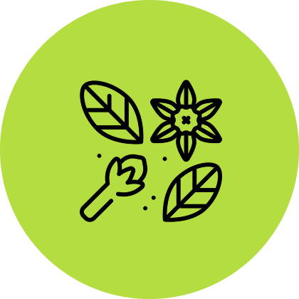 Line art of leaves, a flower, and a bud on a green circular background.