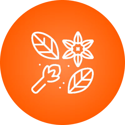 Stylized line art of leaves and a flower on an orange circle.