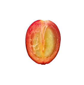Close-up of a sliced grape with visible seeds and pulp.