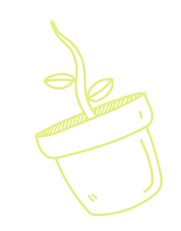 A simple, light green line drawing of a small plant sprouting from a pot against a white background.