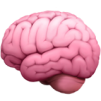 A pink, cartoon-style illustration of a human brain against a white background.