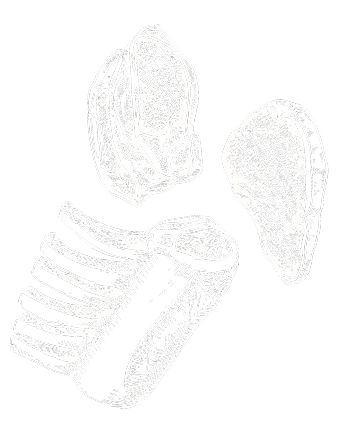 Illustration of three fossilized trilobite parts on a black background.