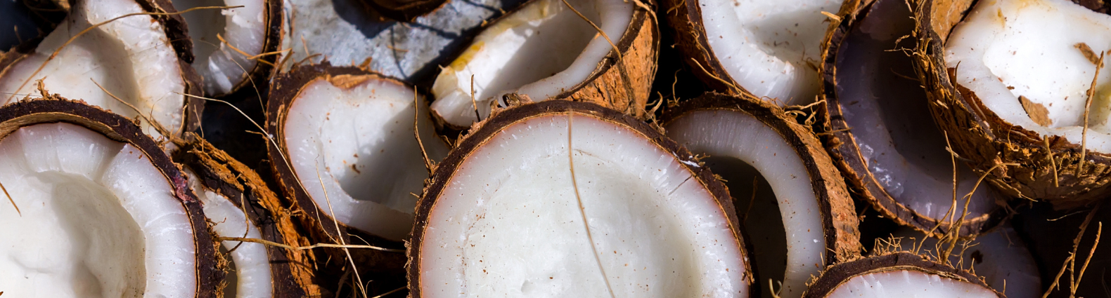 Halved coconuts with brown shells and white flesh.