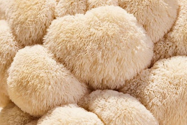Close-up of fluffy, cream-colored textured objects clustered together.