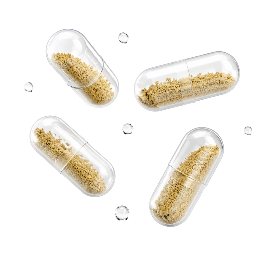 Four transparent capsules filled with a tan powder and several clear droplets on a white background.