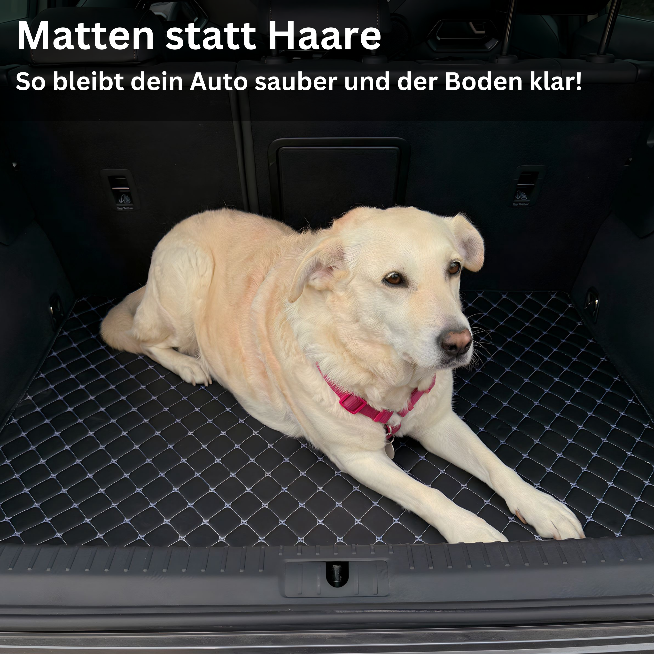 A dog with a pink harness lying in a car trunk on a quilted mat.