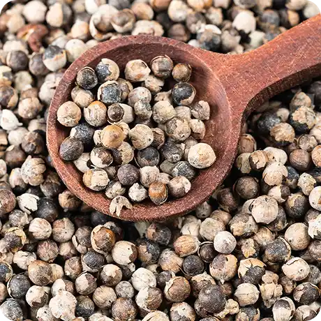 A wooden spoon scoops a pile of small, dried, multicolored berries or seeds.