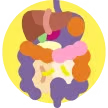 A stylized, colorful illustration of the human digestive system organs inside a yellow circle.