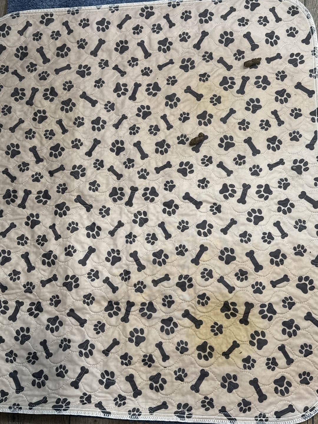 Dog feces and a urine stain on a paw print and bone patterned pee pad.