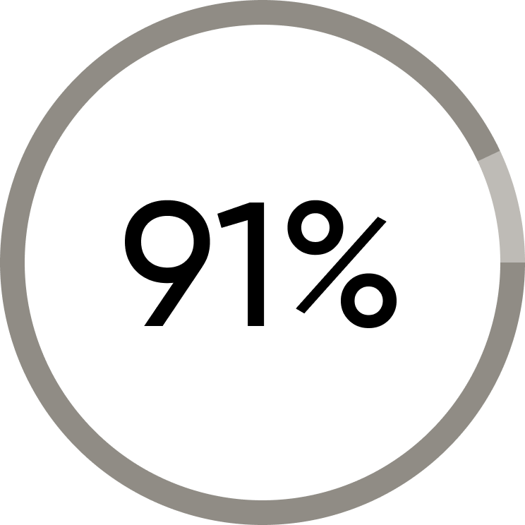A circular progress graph showing 91%.