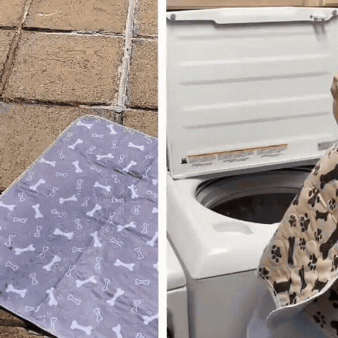 Tapis réutilisable durable pour chiens