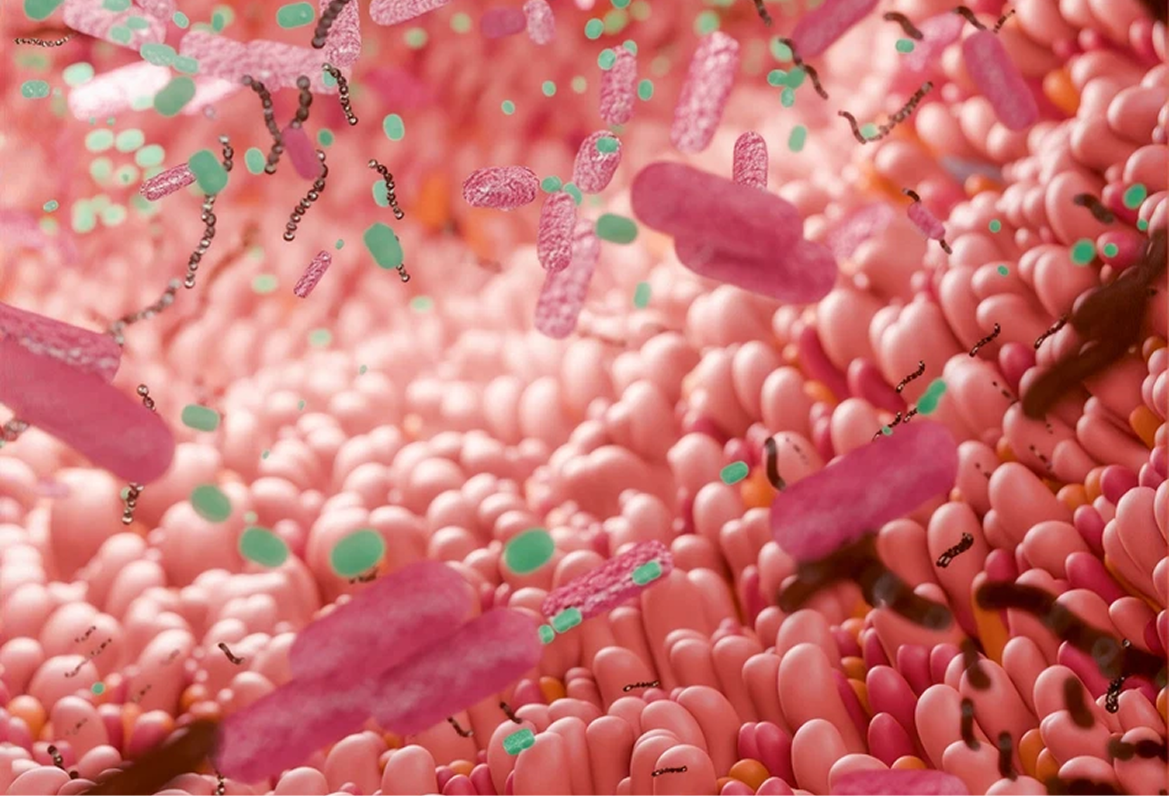 A 3D illustration of various colorful bacteria and microbes floating above the pink villi of the intestine.
