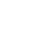 A white geometric rosette or floral pattern on a green background.