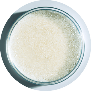 A glass bowl filled with frothy liquid, viewed from above.