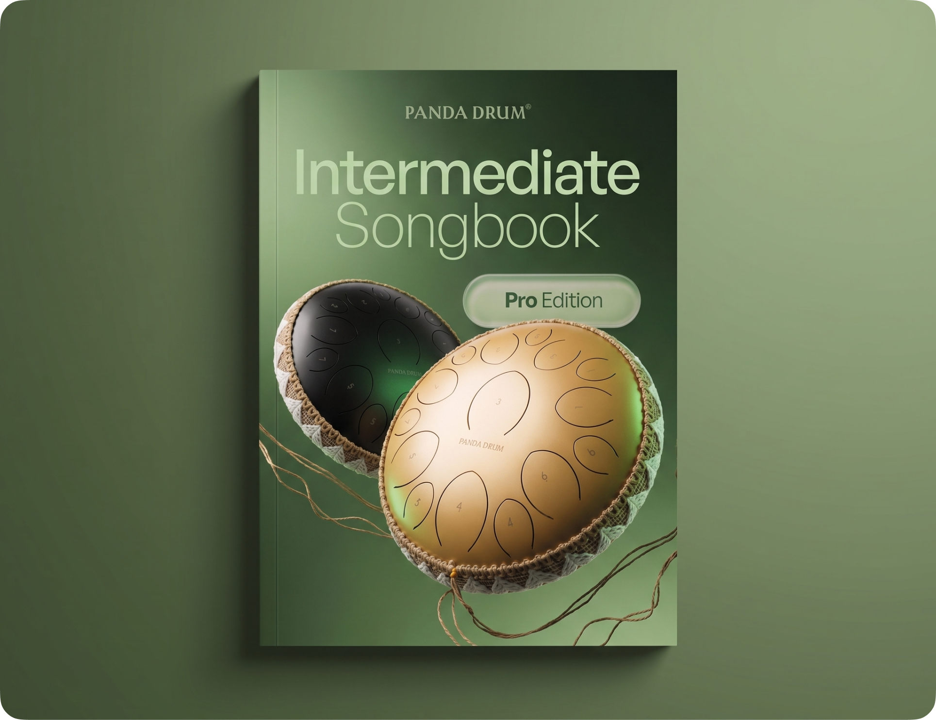 The cover of the Panda Drum Intermediate Songbook, showing two steel tongue drums on a green background.